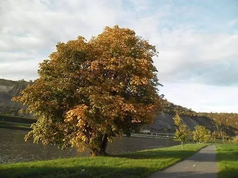 Maison Standing Professionnel * Givet